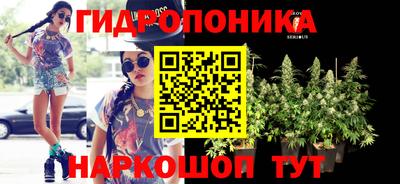 Альфа ПВП Нальчик
