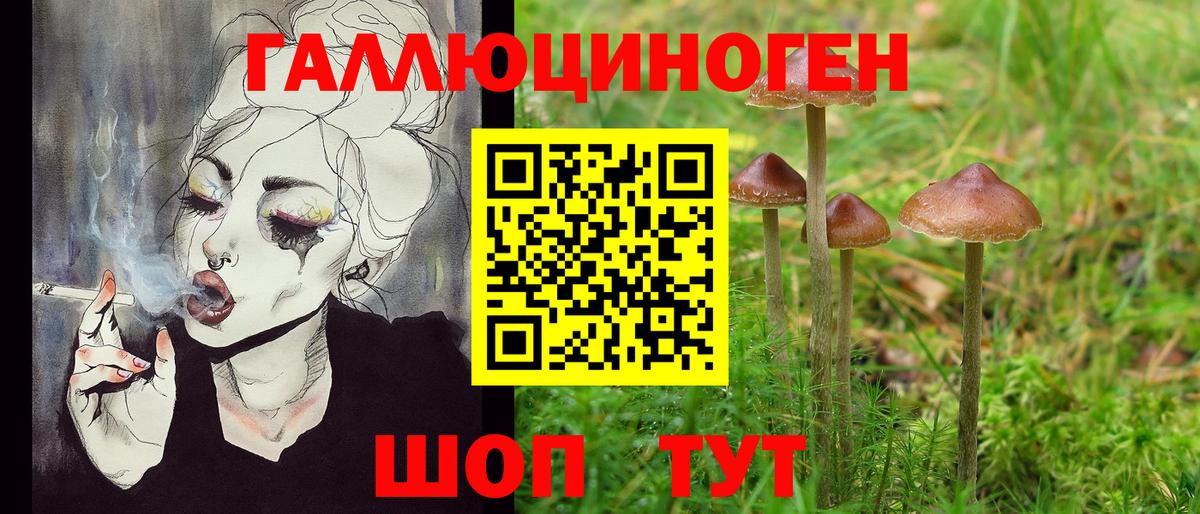 Тольятти  Галлюциногенные грибы Psilocybe  Вход с VPN 